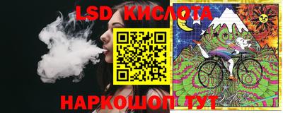spice Заводоуковск