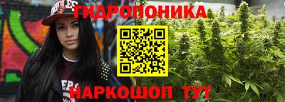spice Заводоуковск