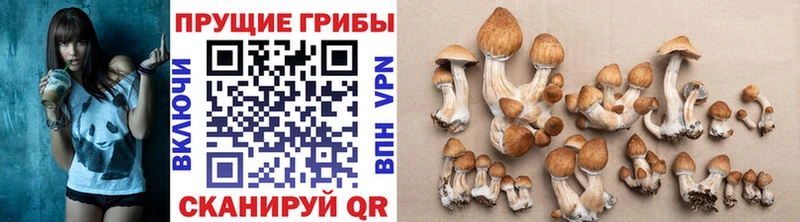 Галлюциногенные грибы ЛСД  Ялуторовск 