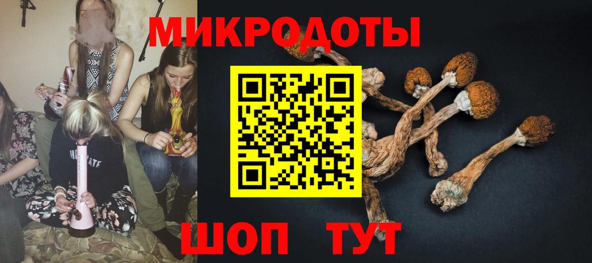 Галлюциногенные грибы ЛСД Ялуторовск
