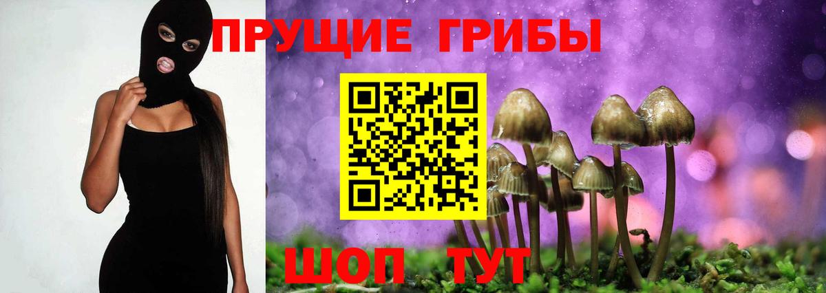 Ялуторовск  Псилоцибиновые грибы GOLDEN TEACHER  Вход с VPN 